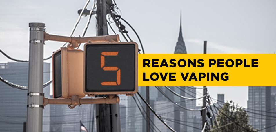 Logic Devices Epitomize Why Consumers Love Logic